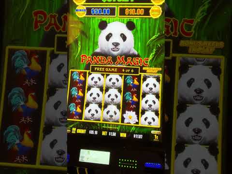 Experience the Excitement Spinpanda Casino Online Slots Experience the Excitement Spinpanda Casino Online Slots